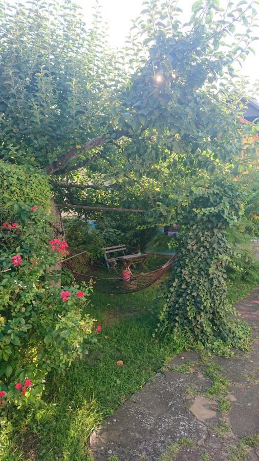 Garickina Kuca Διαμέρισμα Πίροτ Εξωτερικό φωτογραφία
